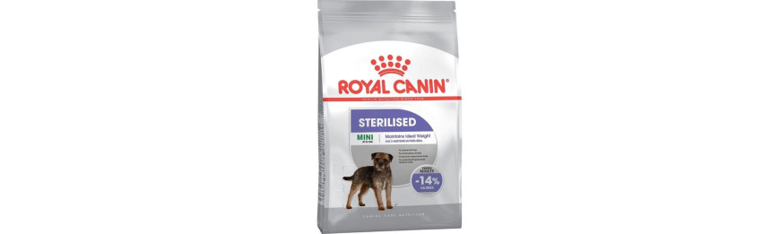 Royal Canin 法國皇家 絕育犬隻系列